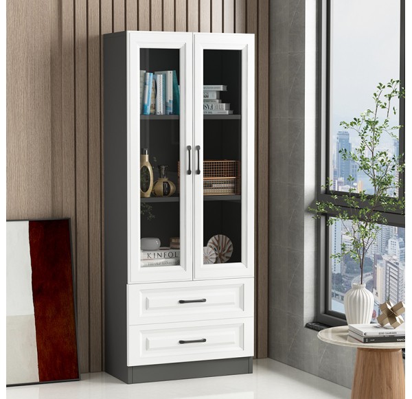 Book Cabinet