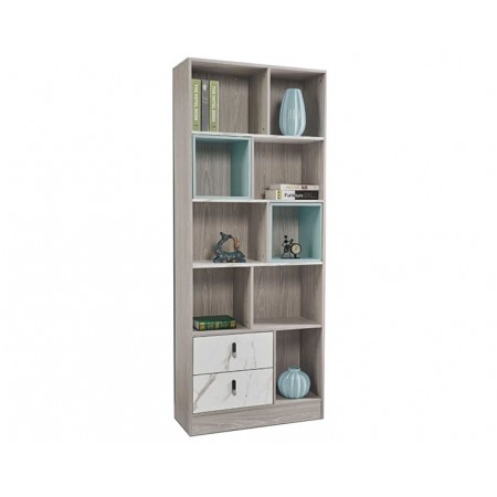 Book Cabinet Type 8610