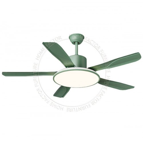 Ceiling Fans Light
