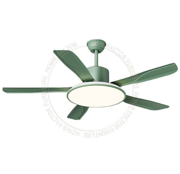 Ceiling Fans Light