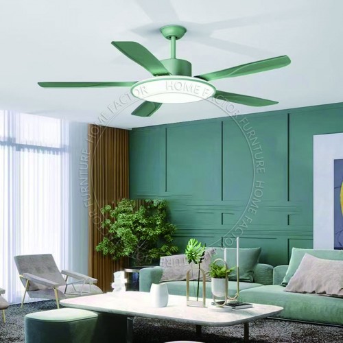 Ceiling Fans Light