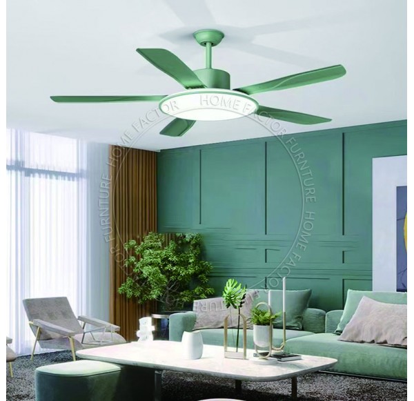 Ceiling Fans Light
