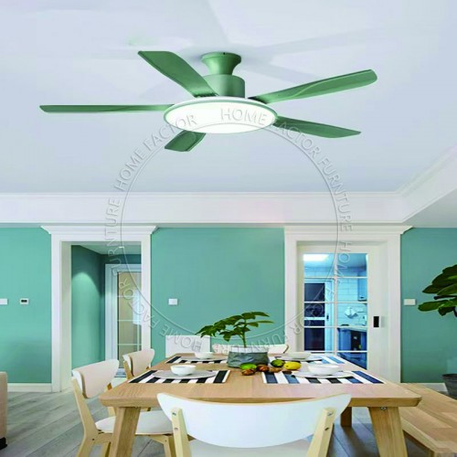 Ceiling Fans Light