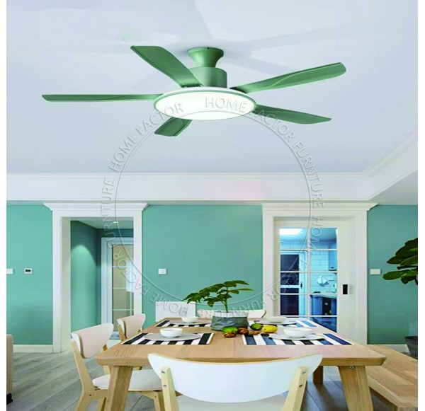 Ceiling Fans Light
