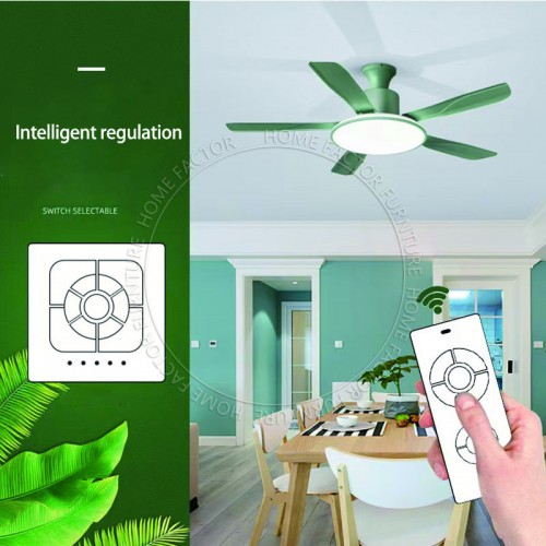Ceiling Fans Light