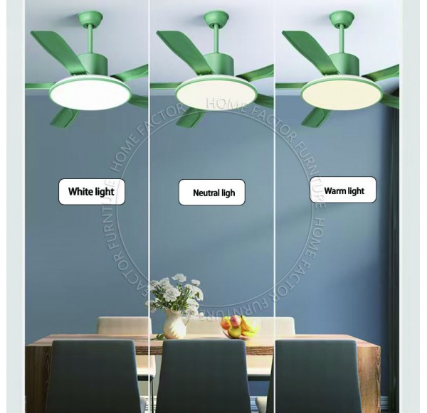 Ceiling Fans Light