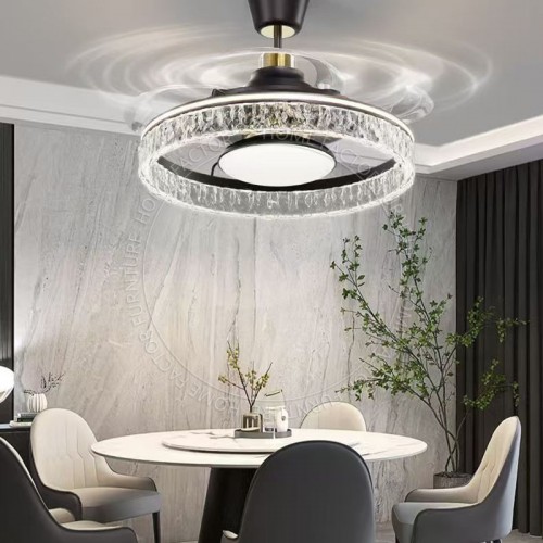 Ceiling Fans Light