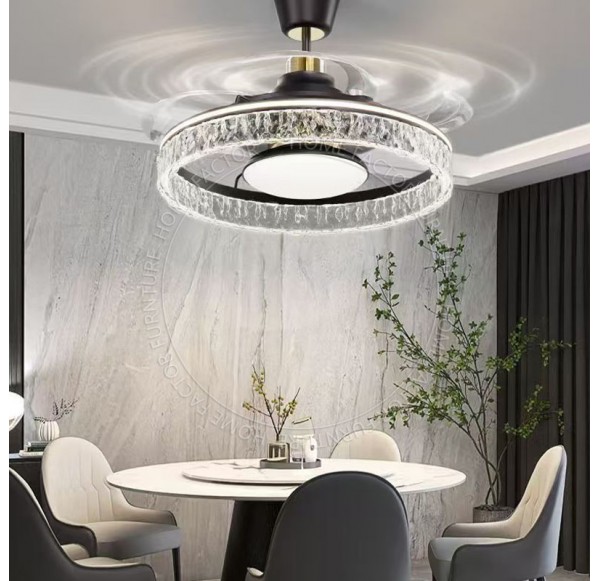 Ceiling Fans Light