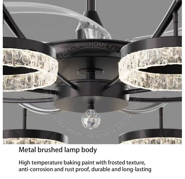 Ceiling Fans Light