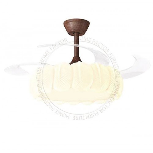 Ceiling Fans Light