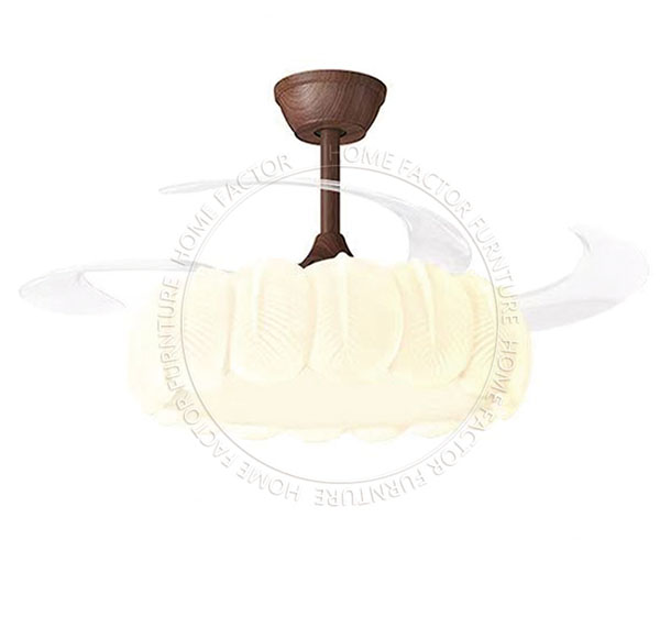 Ceiling Fans Light