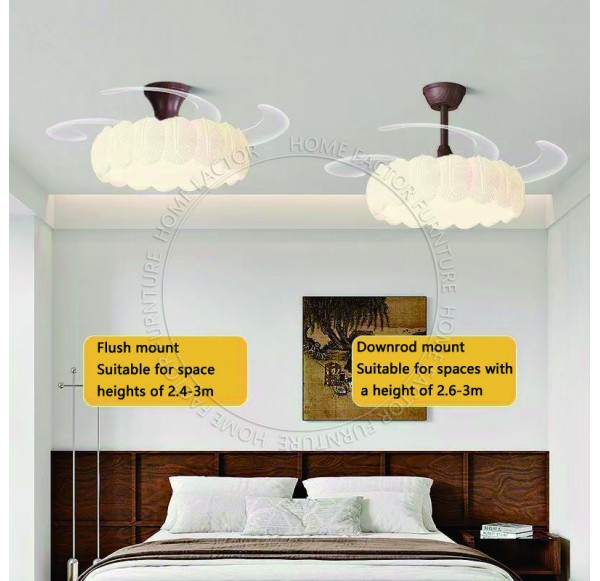 Ceiling Fans Light