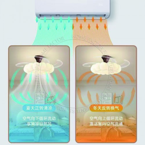 Ceiling Fans Light