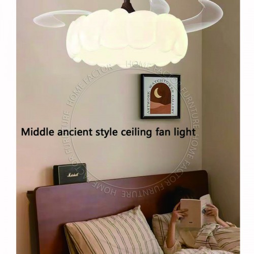 Ceiling Fans Light