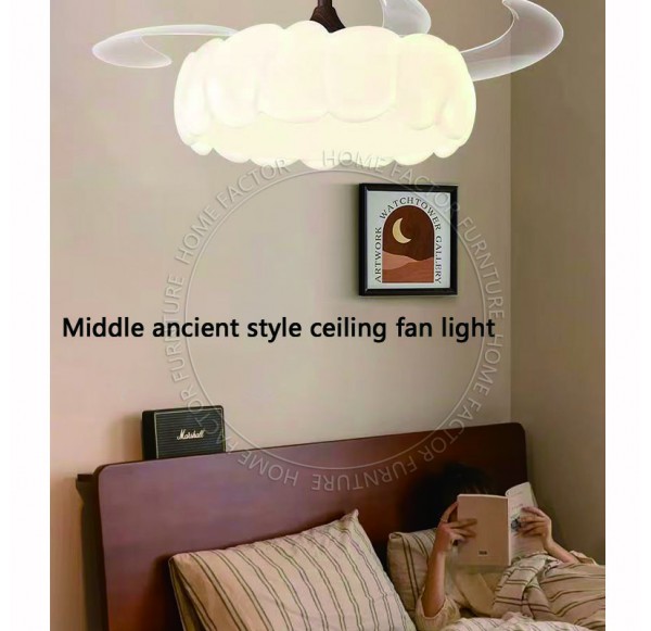 Ceiling Fans Light