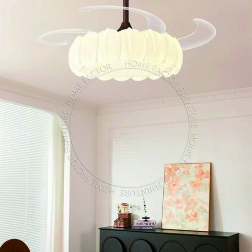 Ceiling Fans Light