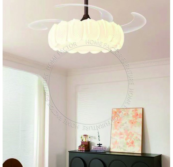 Ceiling Fans Light