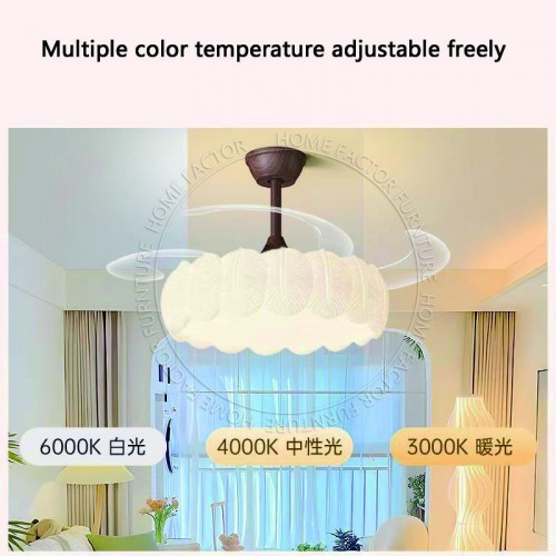 Ceiling Fans Light
