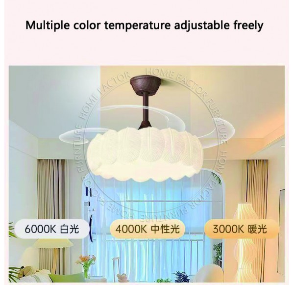 Ceiling Fans Light