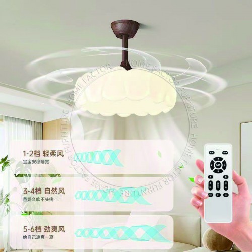 Ceiling Fans Light