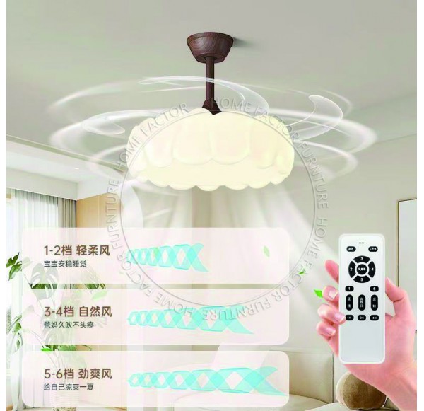 Ceiling Fans Light