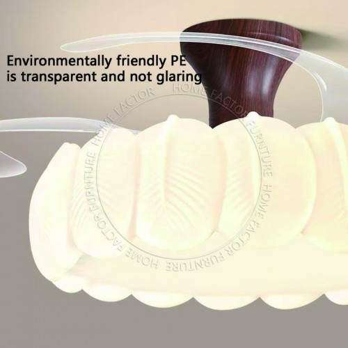 Ceiling Fans Light