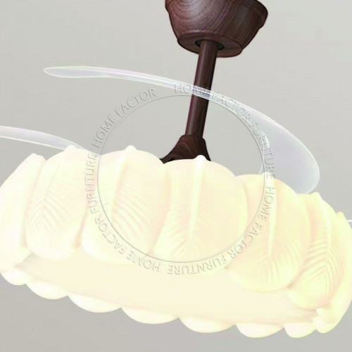 Ceiling Fans Light
