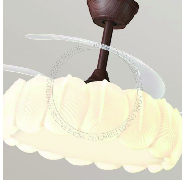 Ceiling Fans Light