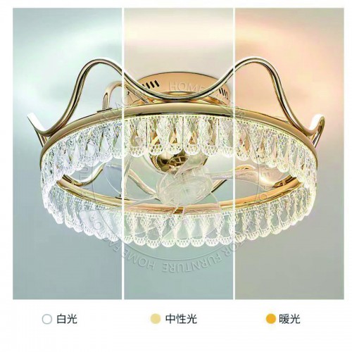 Ceiling Fans Light