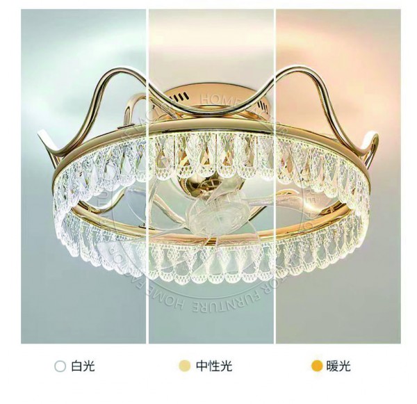 Ceiling Fans Light
