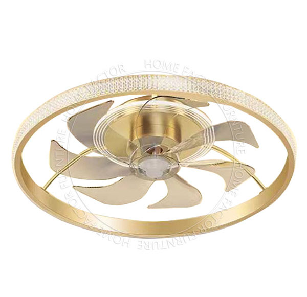 Ceiling Fans Light