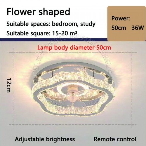 Ceiling Fans Light