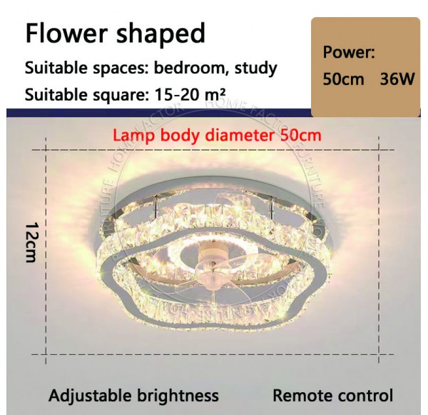 Ceiling Fans Light