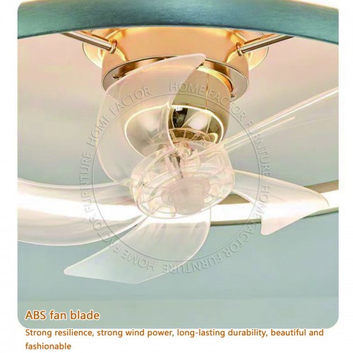 Ceiling Fans Light