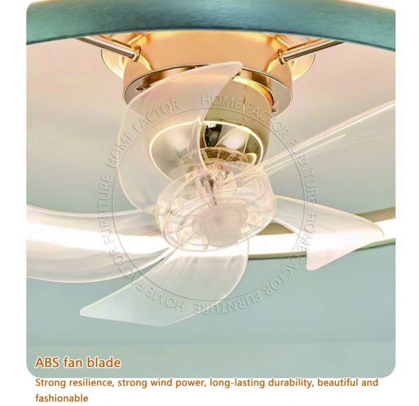 Ceiling Fans Light