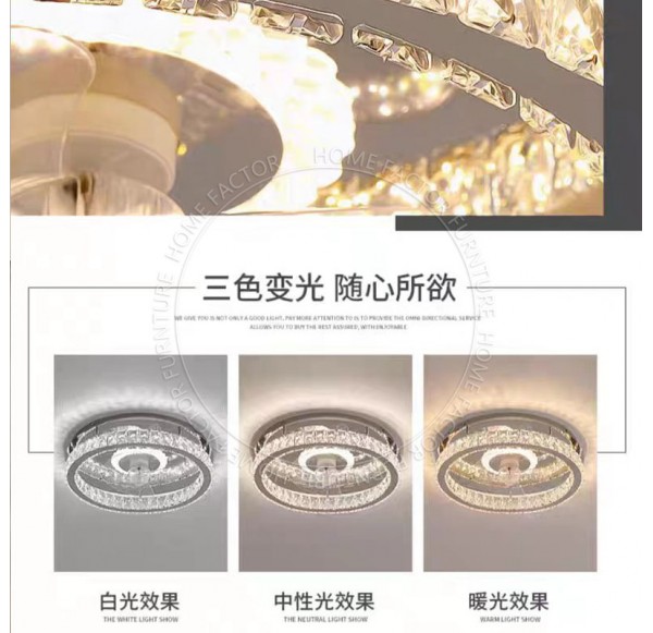Ceiling Fans Light