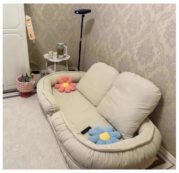 Leisure Sofa chair