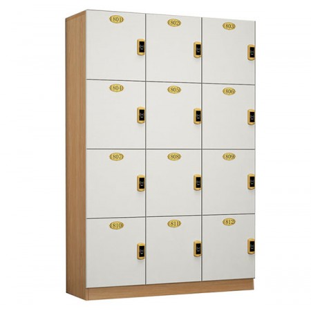 Storage Cabinet (Pre-order) Type CWG01 With Smart Lock