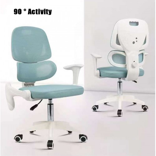 Home Office Furniture