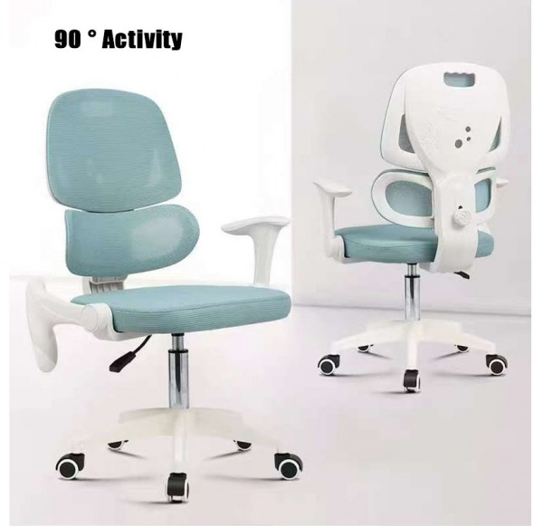 Home Office Furniture