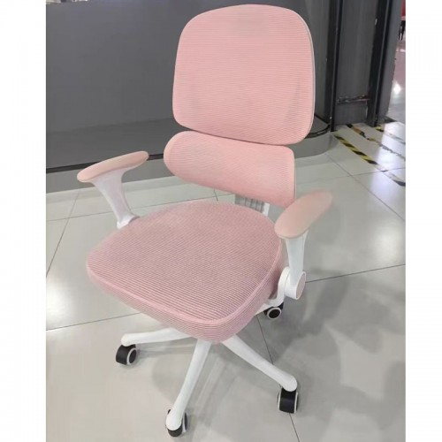 Home Office Furniture