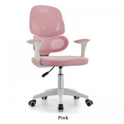 Home Office Furniture