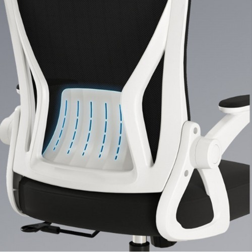 Home Office Furniture