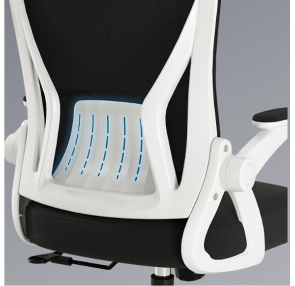 Home Office Furniture