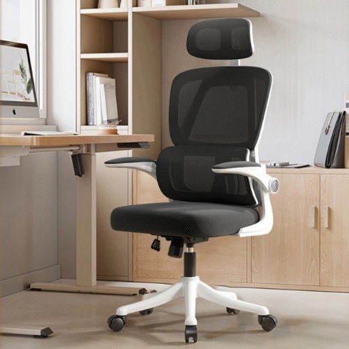 Home Office Furniture