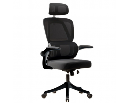 Office Chair 418