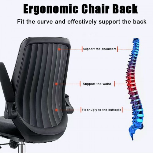 Home Office Furniture