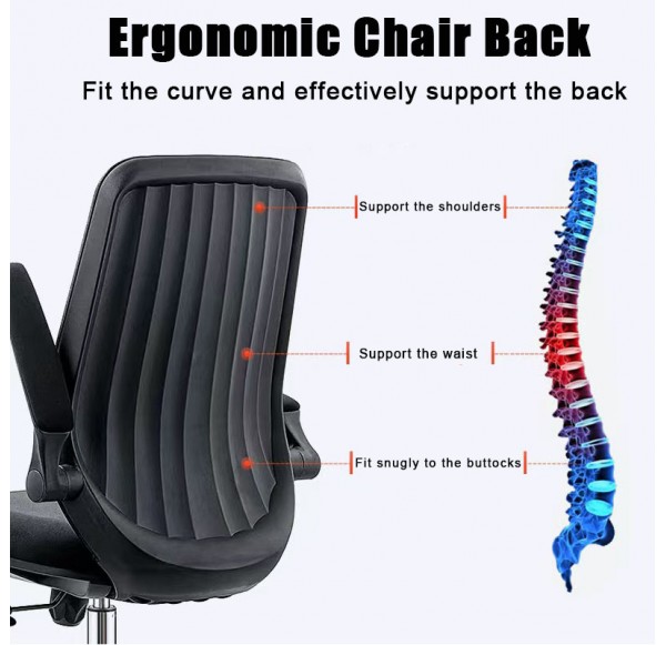 Home Office Furniture