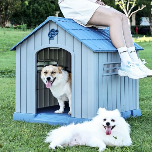 Pet furniture