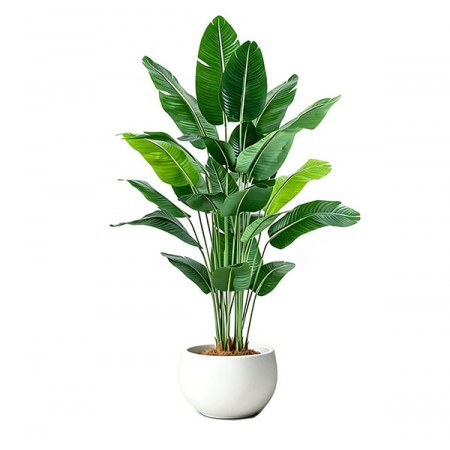 Artificial Plants (Pre-order) Type FZZW03